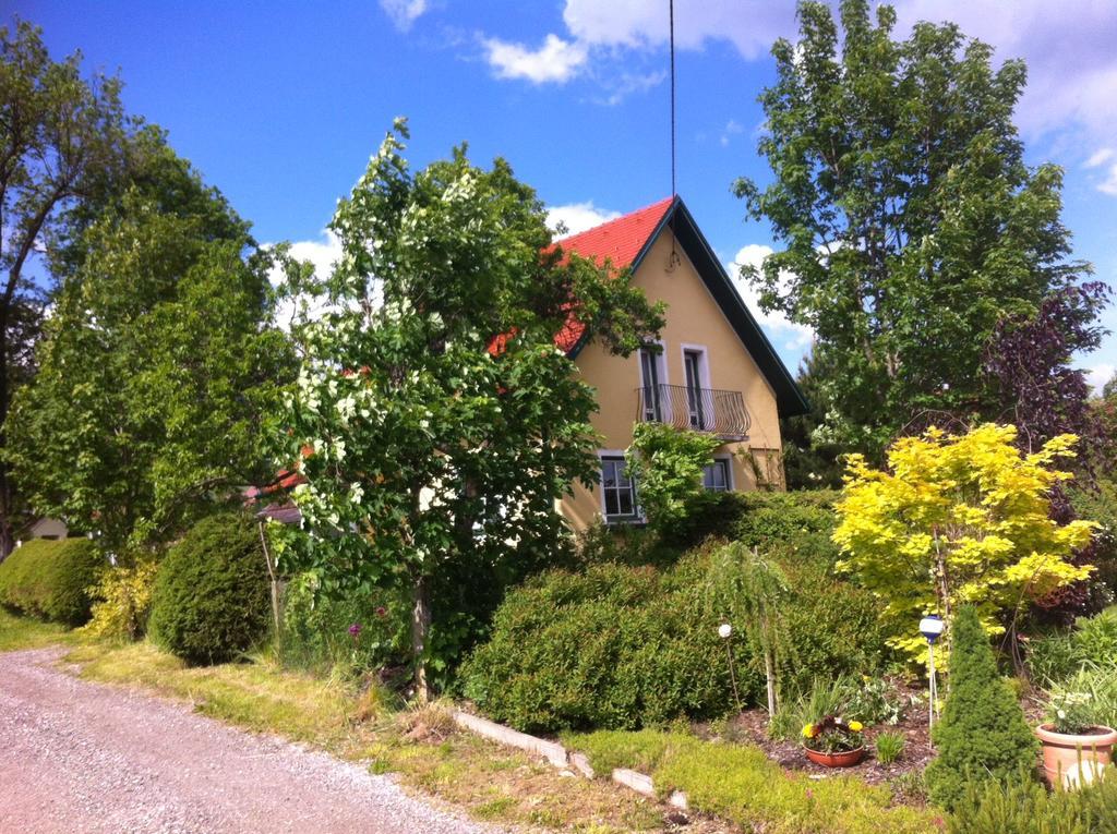 Vila Ferienhaus Prettenthaler Gaal Exteriér fotografie